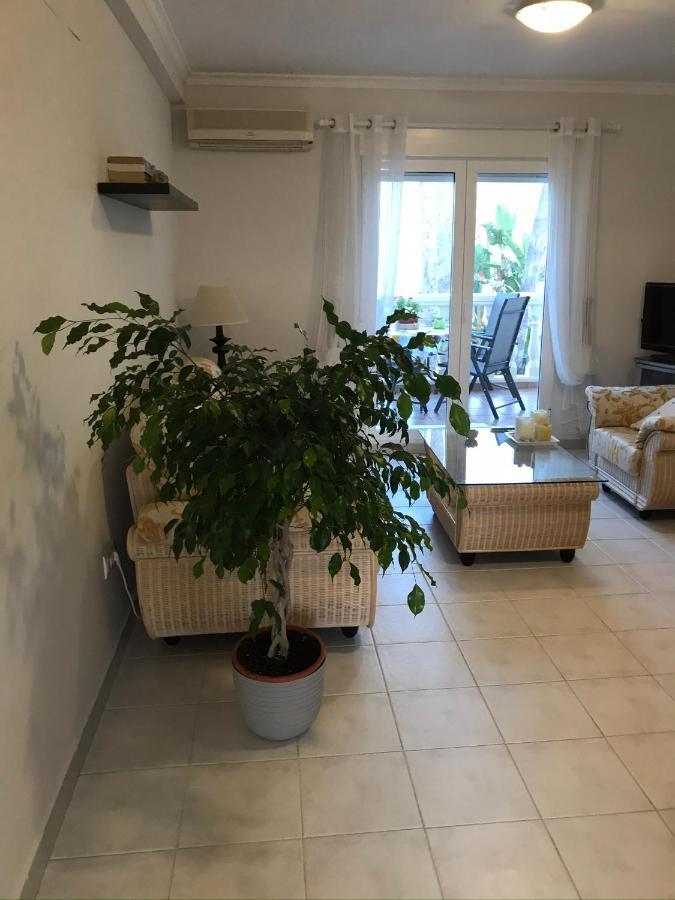Apartment Casa